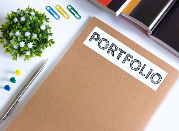 professional portfolio